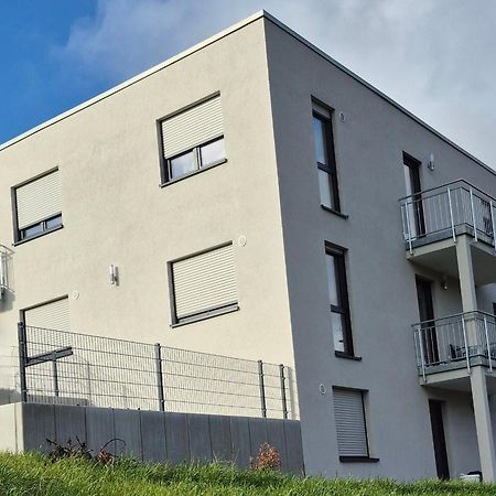 Apartments Seibel Doppel-Zweibettzimmer Mit Bad Reutlingen Buitenkant foto